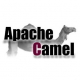 Apache Camel Training in Vietnam