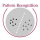 Pattern Recognition Training in Vietnam