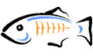 GlassFish Training in Việt Nam