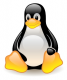 Linux Training in Việt Nam