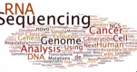 Microbial Genomics