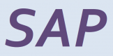 SAP Training in Vietnam