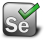 Selenium Training in Vietnam