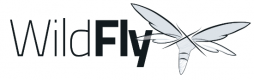 Wildfly Training in Việt Nam